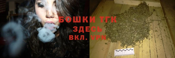 гидра Верхний Тагил