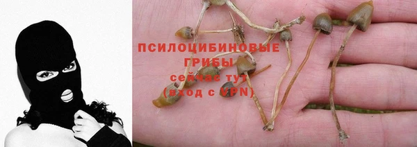 гидра Вяземский