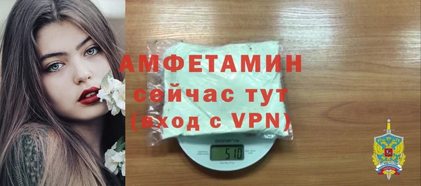 гидра Вяземский