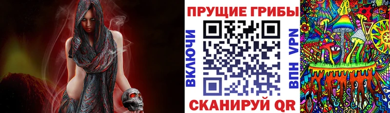 Галлюциногенные грибы Psilocybine cubensis Купить где Лебедянь